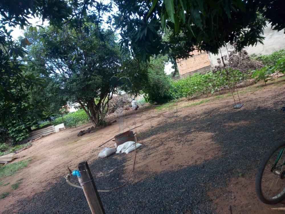 Comprar Casas / Chácara / Rancho em Ribeirão Preto R$ 430.000,00 - Foto 9