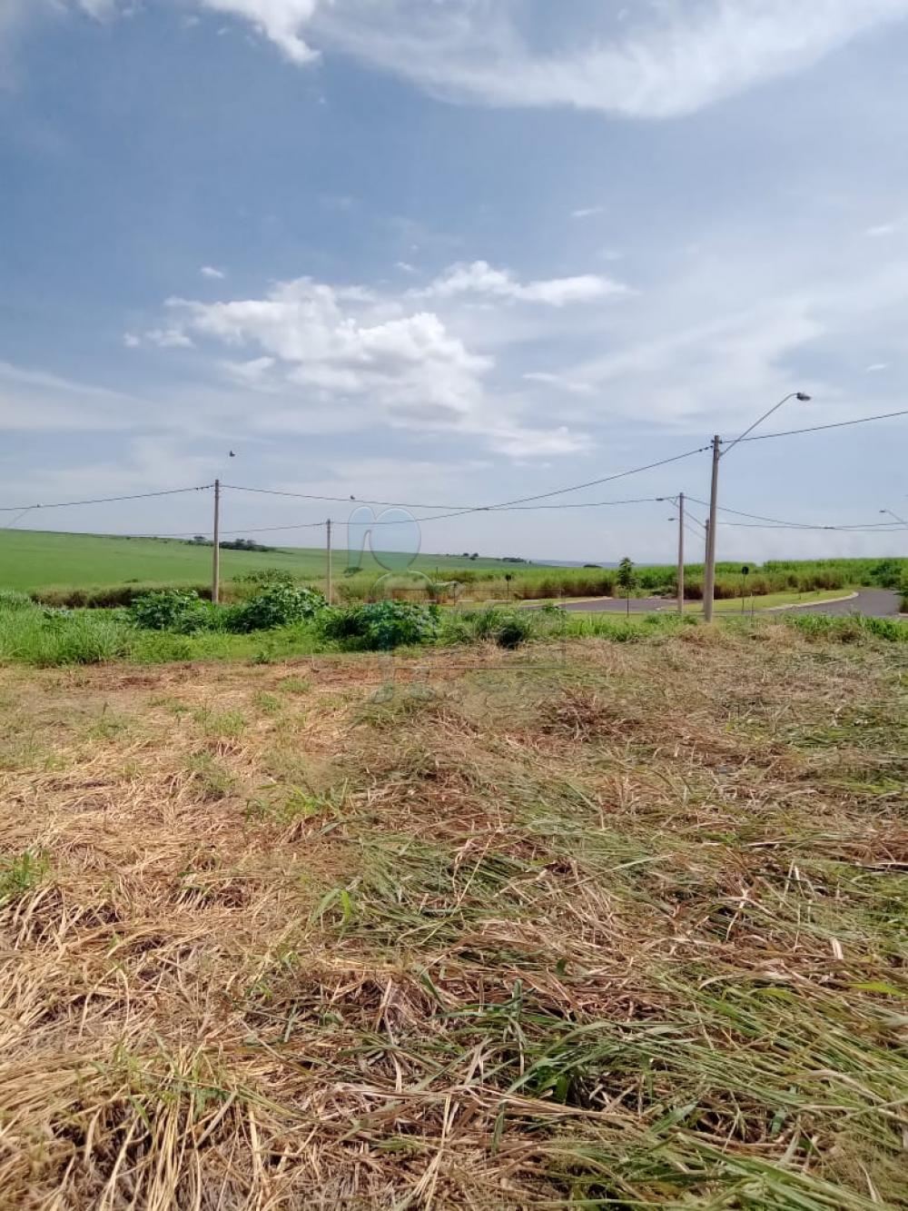 Comprar Terrenos / Padrão em Ribeirão Preto R$ 260.000,00 - Foto 1