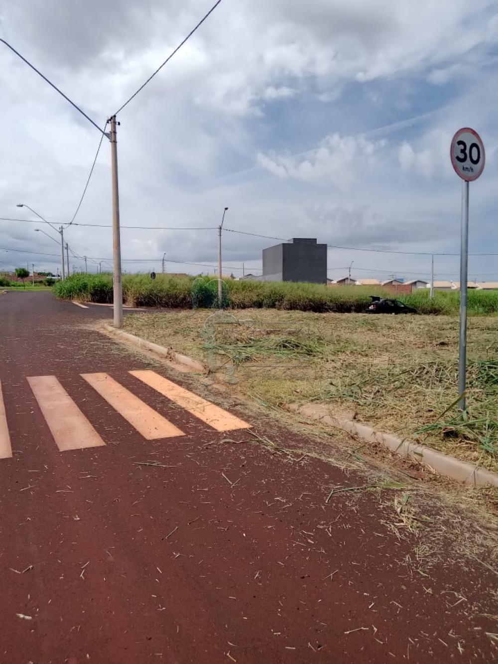 Comprar Terrenos / Padrão em Ribeirão Preto R$ 260.000,00 - Foto 6