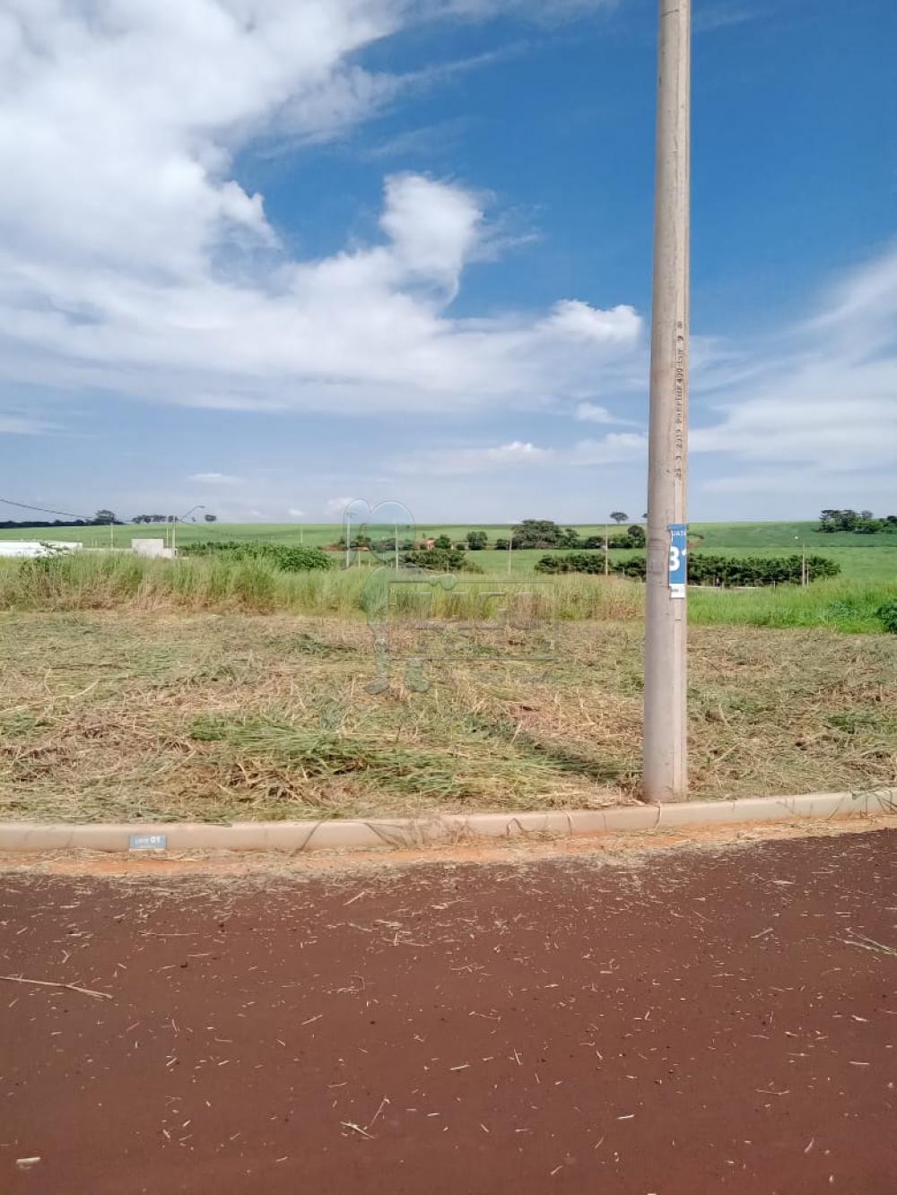 Comprar Terrenos / Padrão em Ribeirão Preto R$ 260.000,00 - Foto 9