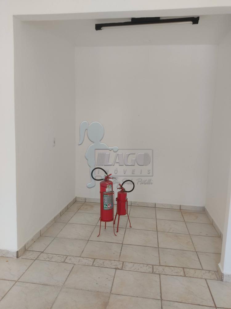 Alugar Comercial / Casa Comercial em Ribeirão Preto R$ 1.650,00 - Foto 6