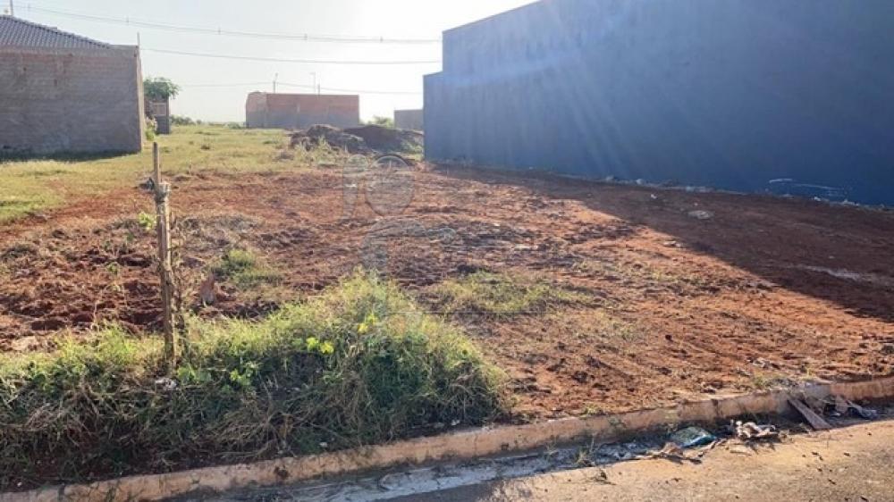 Comprar Terrenos / Padrão em Sertãozinho R$ 131.000,00 - Foto 1