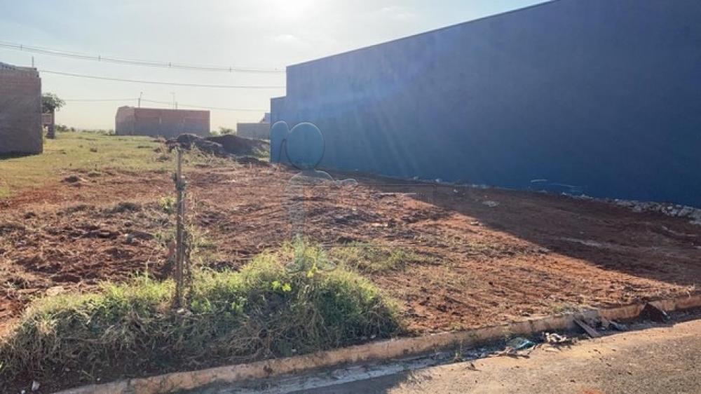 Comprar Terrenos / Padrão em Sertãozinho R$ 131.000,00 - Foto 3