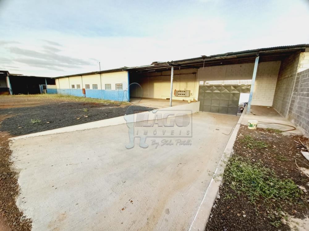 Alugar Comercial / Salão / Galpão em Ribeirão Preto R$ 14.000,00 - Foto 1