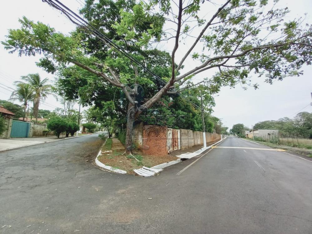 Comprar Casas / Chácara/Rancho em Ribeirão Preto R$ 800.000,00 - Foto 44