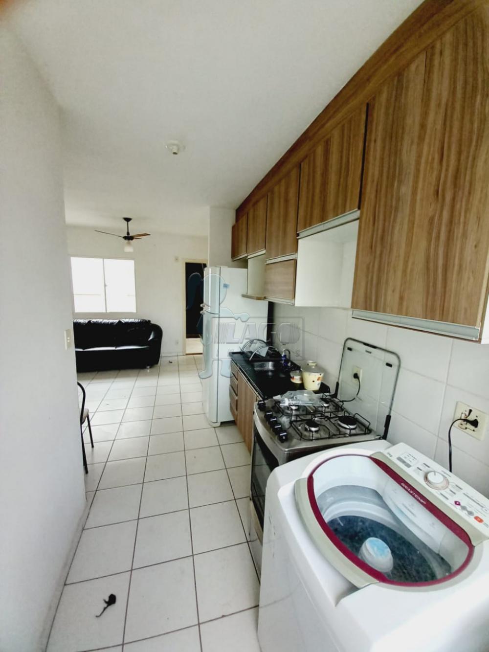 Alugar Apartamentos / Padrão em Ribeirão Preto R$ 550,00 - Foto 4