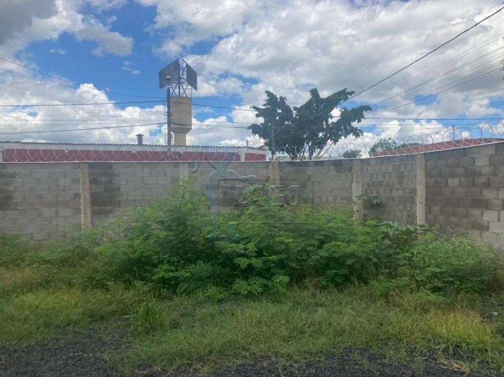 Alugar Casas / Padrão em Ribeirão Preto R$ 1.600,00 - Foto 7