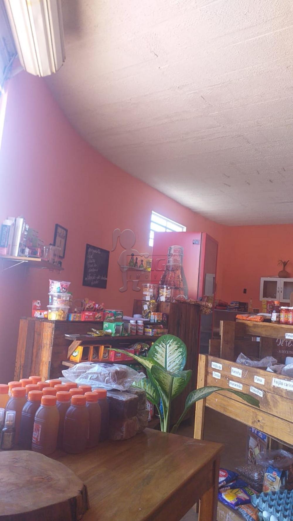 Alugar Comercial / Salão/Galpão/Armazém em Ribeirão Preto R$ 1.250,00 - Foto 2