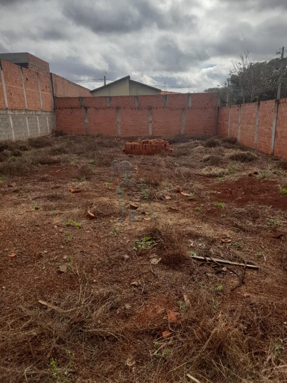 Comprar Terreno / Padrão em Jardinópolis R$ 150.000,00 - Foto 1