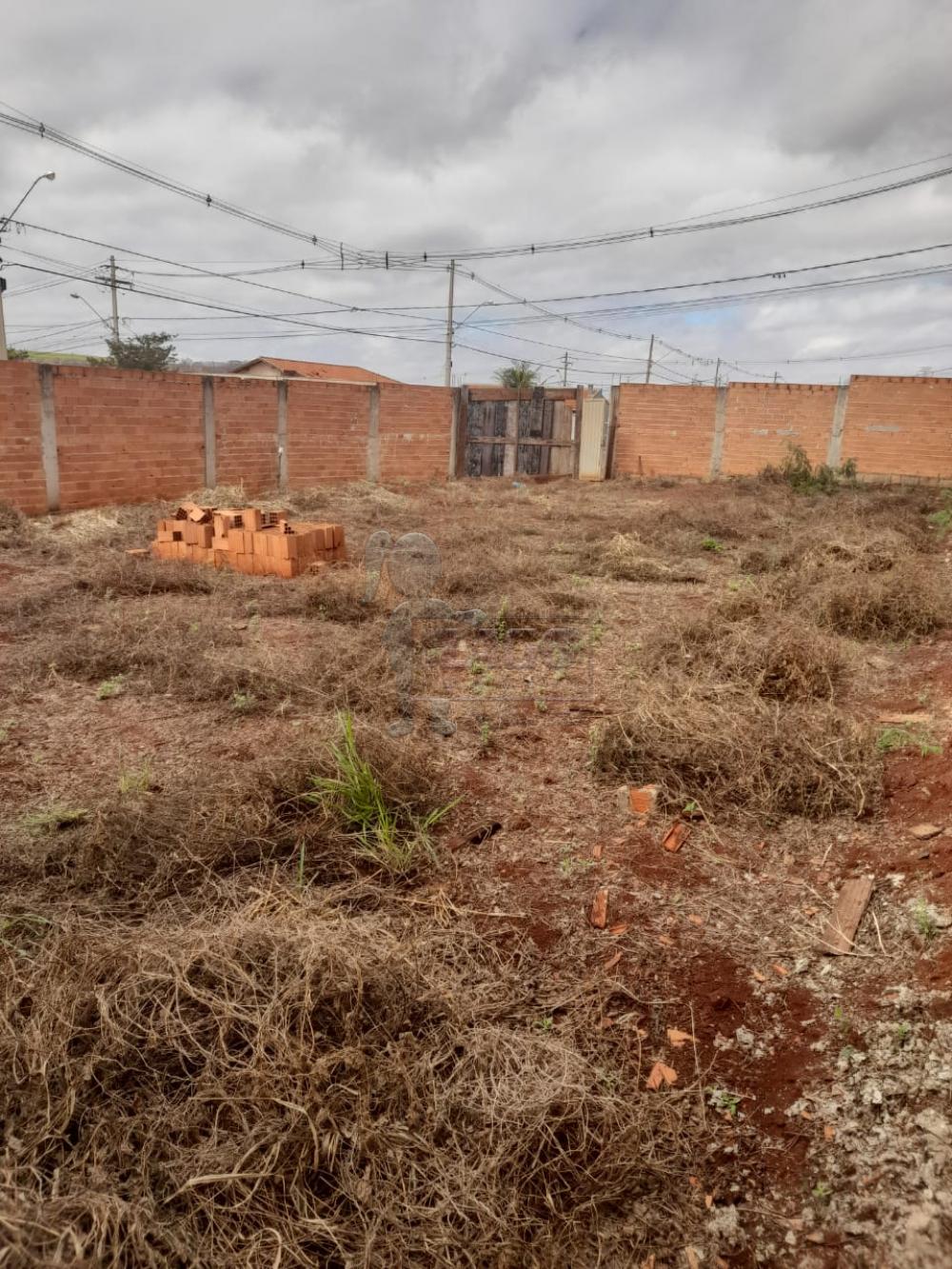 Comprar Terreno / Padrão em Jardinópolis R$ 150.000,00 - Foto 2