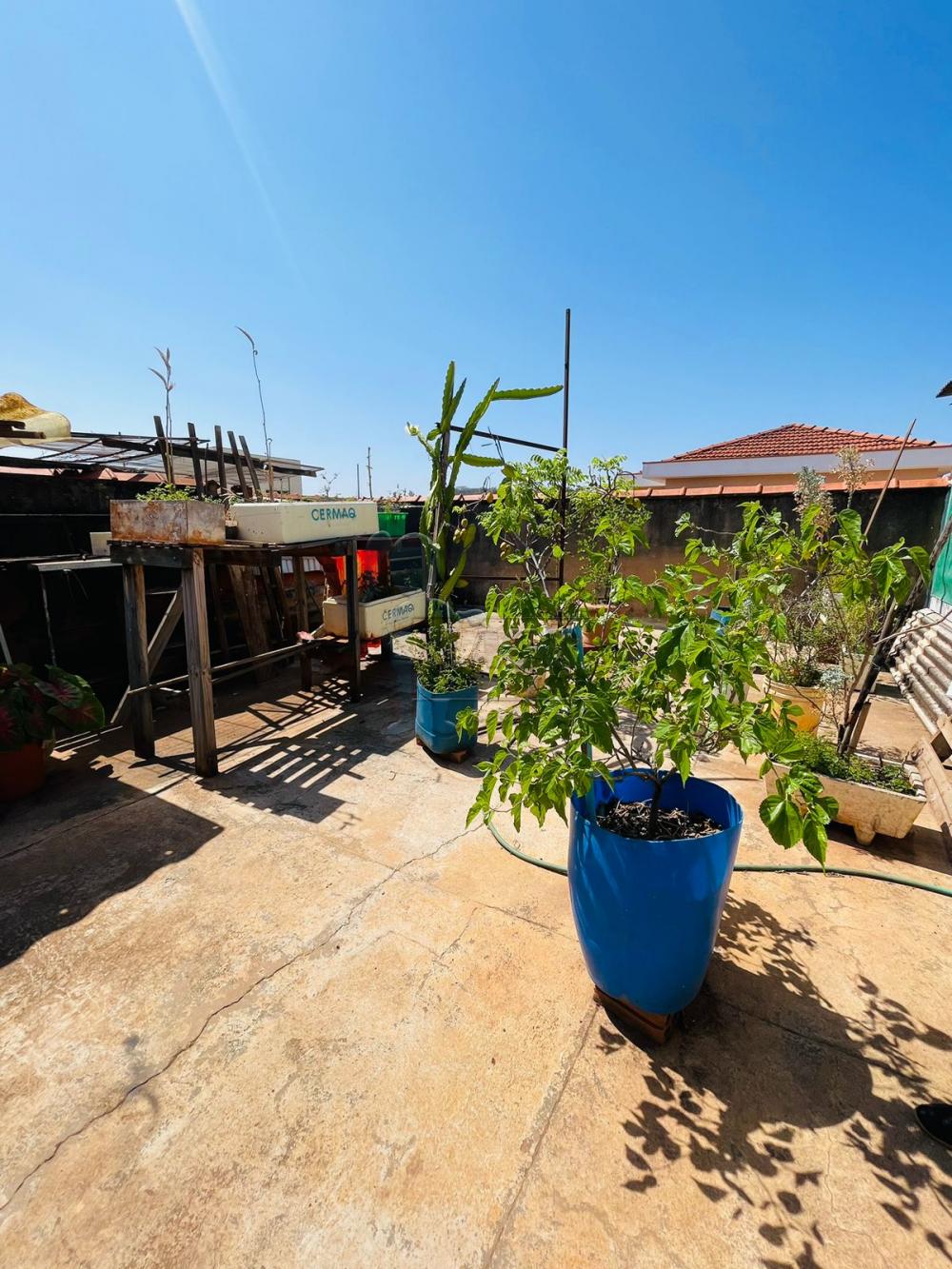 Comprar Casas / Padrão em Ribeirão Preto R$ 636.000,00 - Foto 39