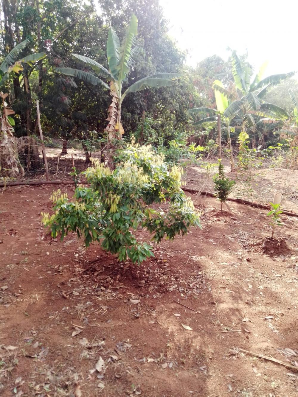 Comprar Casas / Condomínio em Ribeirão Preto R$ 585.000,00 - Foto 14