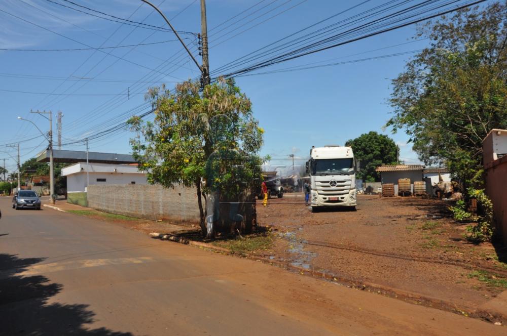 Comprar Comercial / Salão / Galpão / Armazém em Sertãozinho R$ 1.600.000,00 - Foto 5