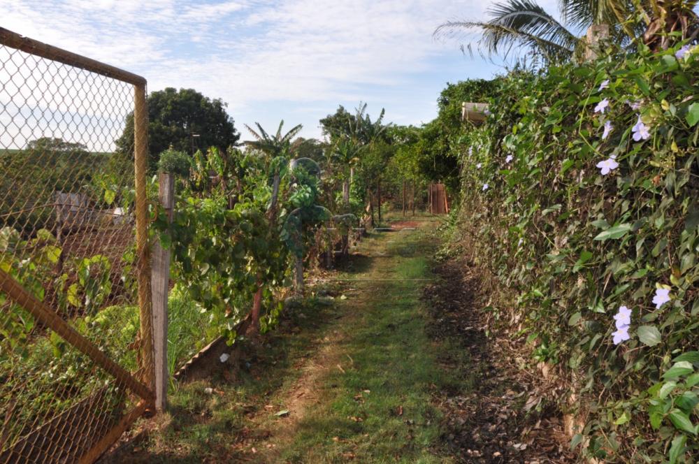 Comprar Casas / Chácara/Rancho em Sertãozinho R$ 530.000,00 - Foto 5