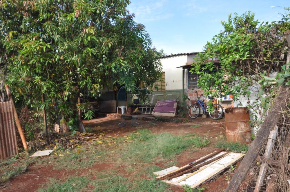 Comprar Casas / Chácara/Rancho em Sertãozinho R$ 530.000,00 - Foto 6