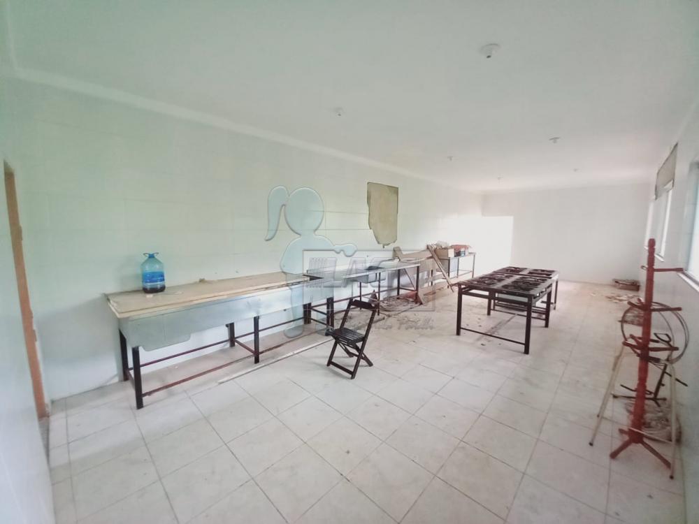 Alugar Comercial / Casa Comercial em Ribeirão Preto R$ 8.000,00 - Foto 10