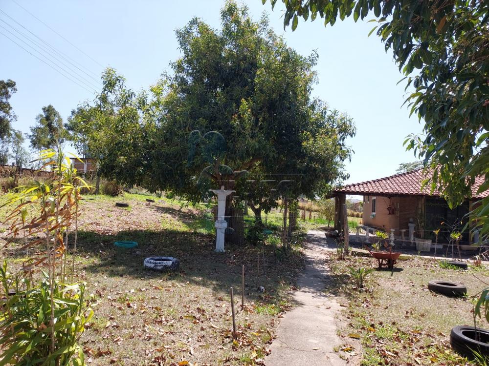 Comprar Casas / Chácara/Rancho em Cajuru R$ 1.500.000,00 - Foto 3