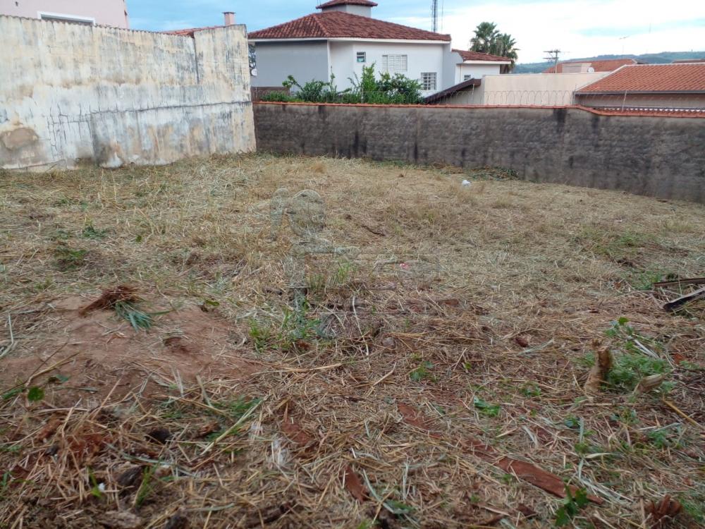 Comprar Terrenos / Padrão em Ribeirão Preto R$ 385.000,00 - Foto 2