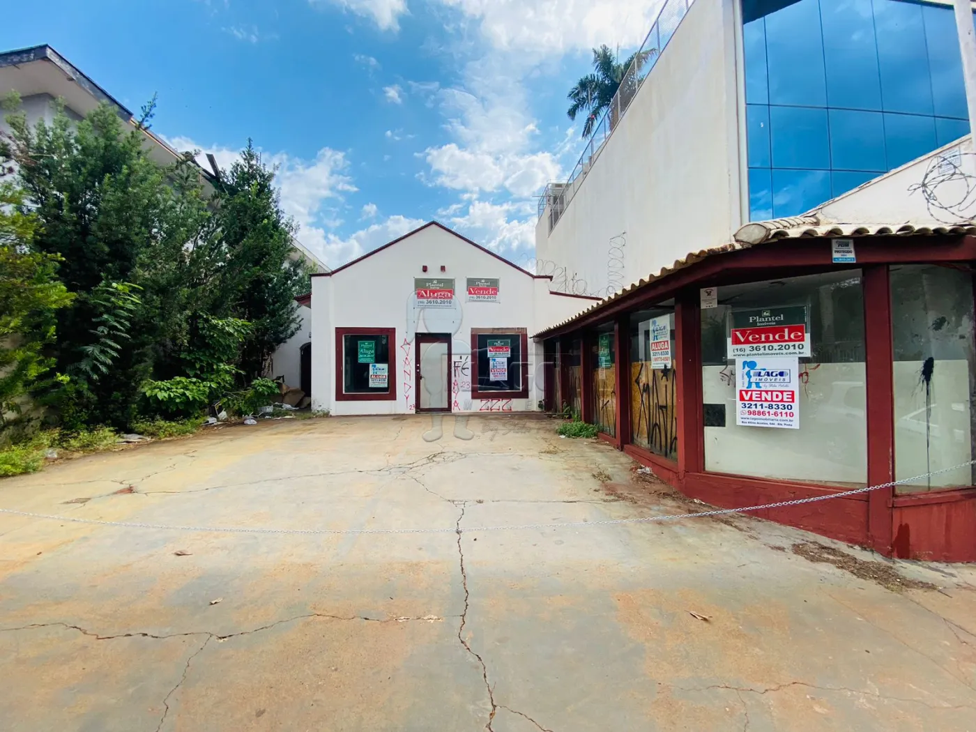 Alugar Comercial / Salão/Galpão/Armazém em Ribeirão Preto R$ 3.000,00 - Foto 6