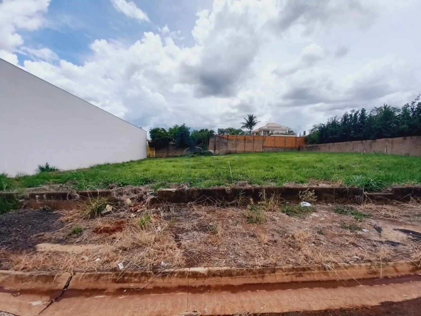 Alugar Terrenos / Padrão em Ribeirão Preto R$ 7.500,00 - Foto 3