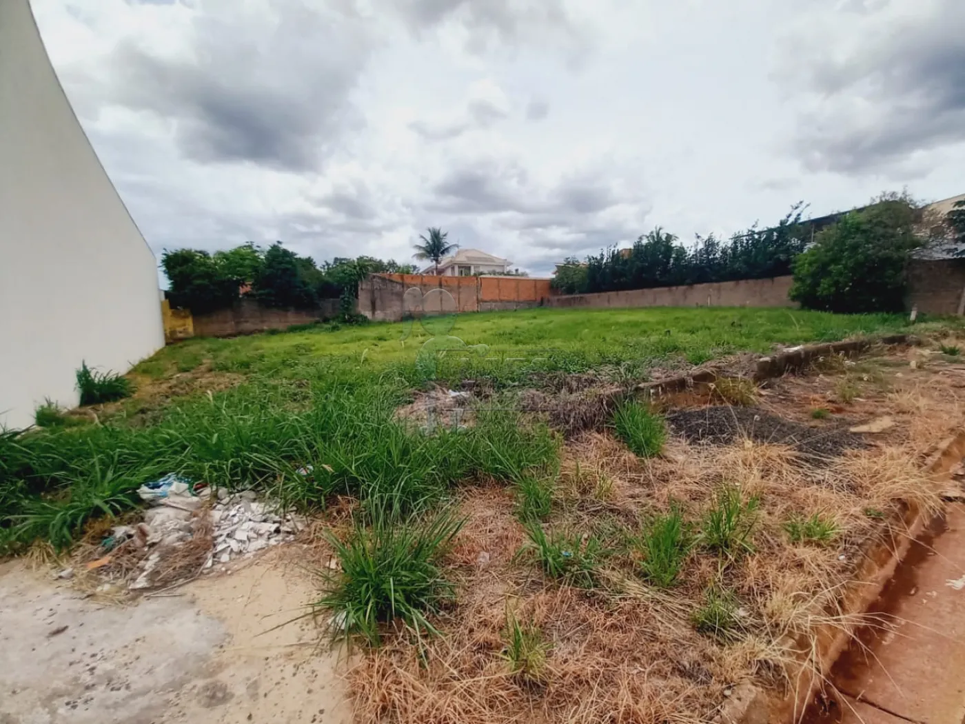 Alugar Terrenos / Padrão em Ribeirão Preto R$ 7.500,00 - Foto 4