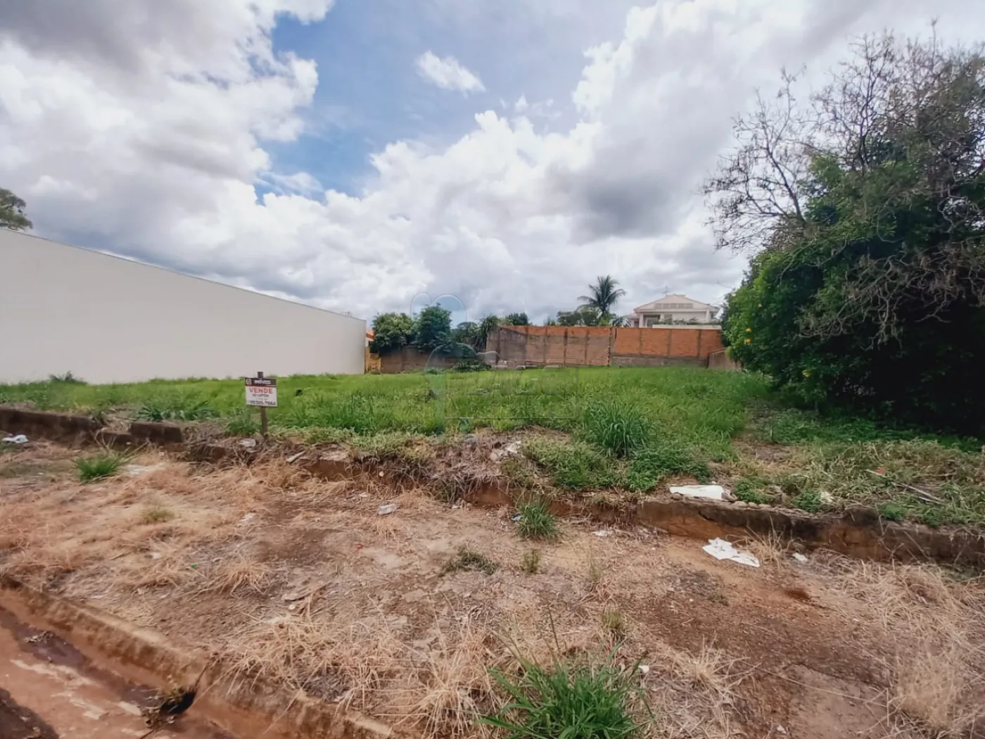 Alugar Terrenos / Padrão em Ribeirão Preto R$ 7.500,00 - Foto 3