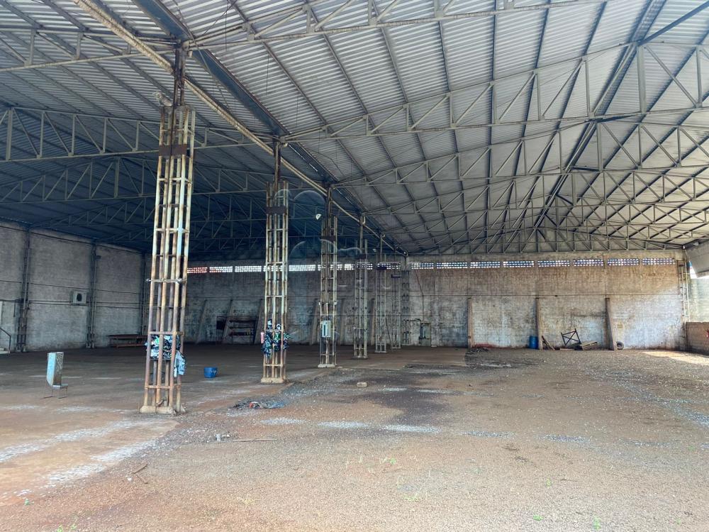 Alugar Comercial / Salão/Galpão/Armazém em Ribeirão Preto R$ 25.000,00 - Foto 1