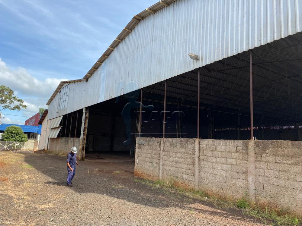 Alugar Comercial / Salão/Galpão/Armazém em Ribeirão Preto R$ 25.000,00 - Foto 6