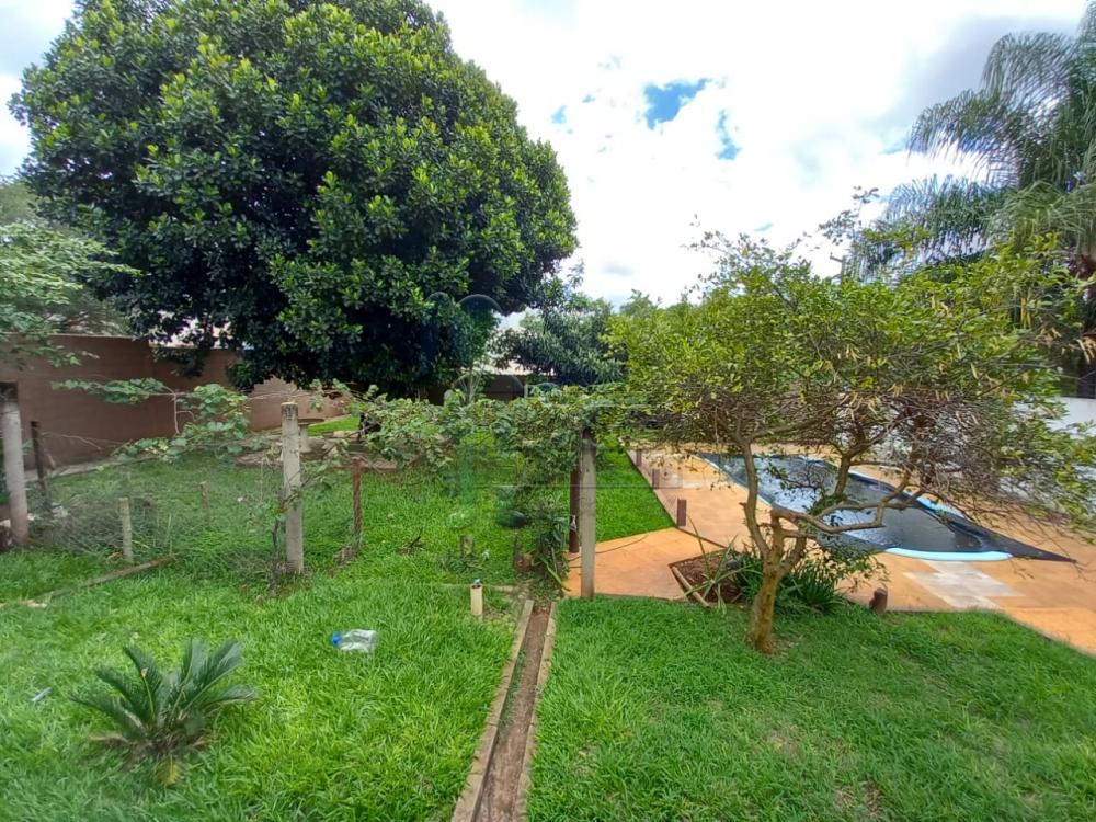 Alugar Casas / Chácara/Rancho em Ribeirão Preto R$ 4.000,00 - Foto 24