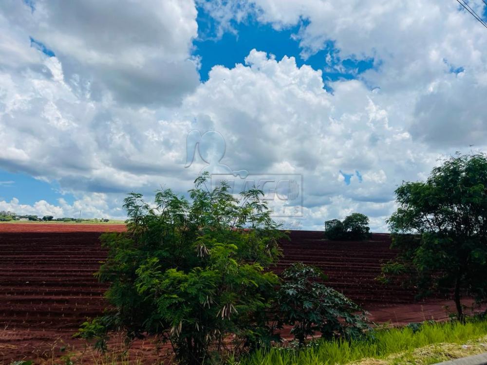 Alugar Terrenos / Padrão em Ribeirão Preto R$ 25.000,00 - Foto 4