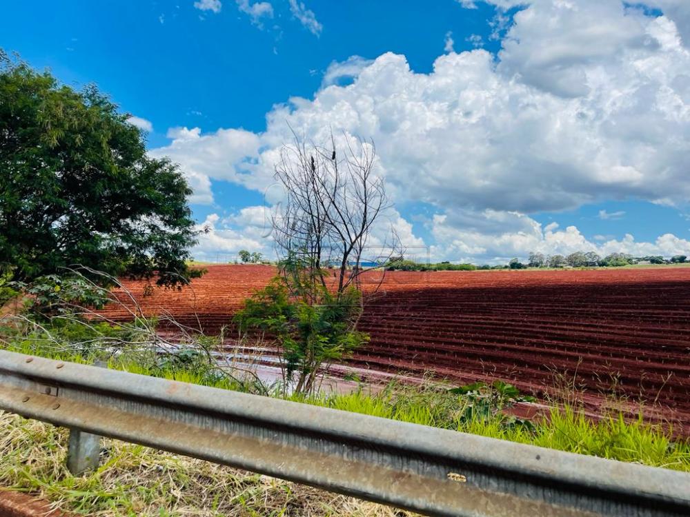 Alugar Terrenos / Padrão em Ribeirão Preto R$ 25.000,00 - Foto 2