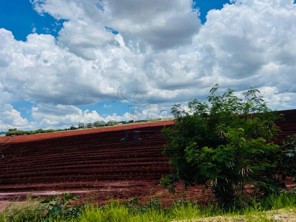 Alugar Terrenos / Padrão em Ribeirão Preto R$ 25.000,00 - Foto 3