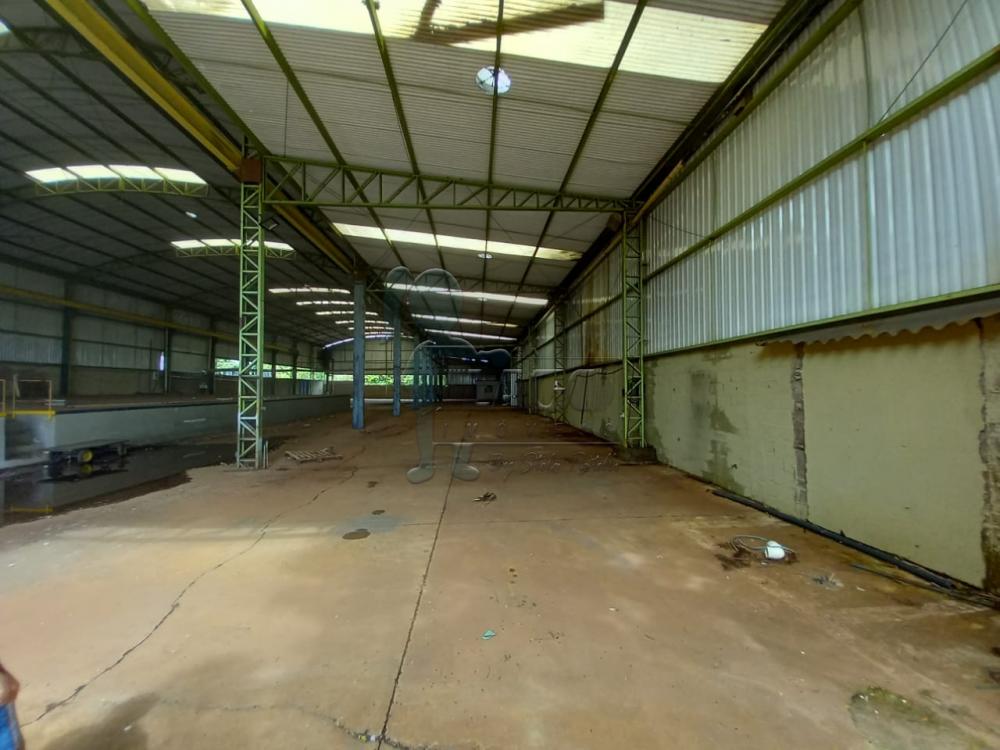 Alugar Comercial / Salão/Galpão/Armazém em Ribeirão Preto R$ 35.000,00 - Foto 1