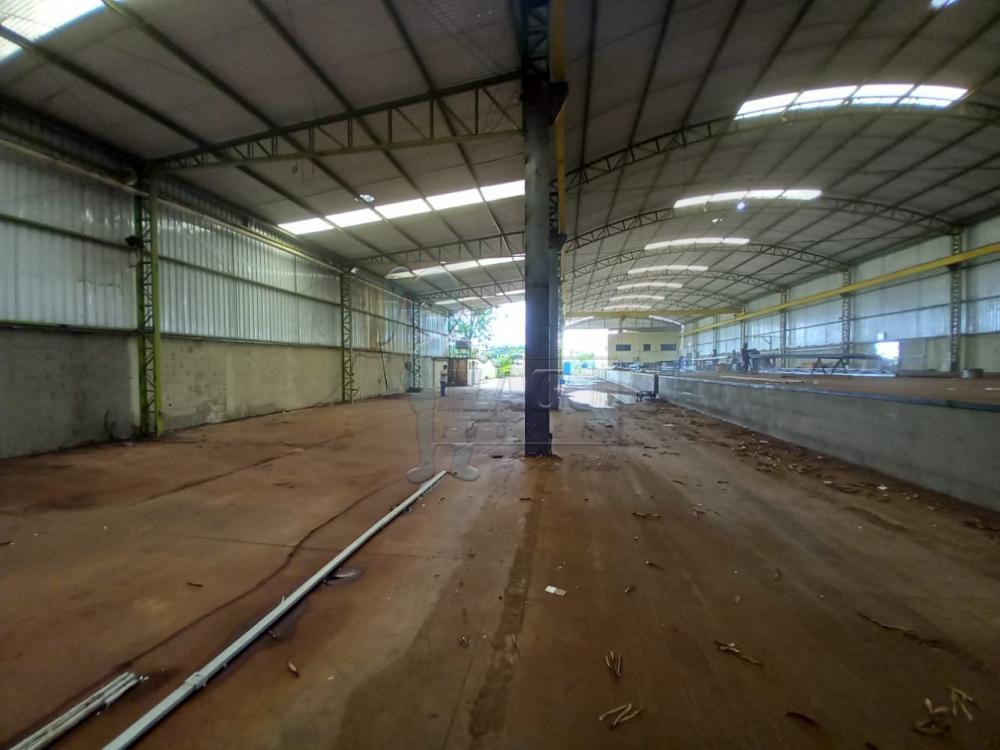 Alugar Comercial / Salão/Galpão/Armazém em Ribeirão Preto R$ 35.000,00 - Foto 5