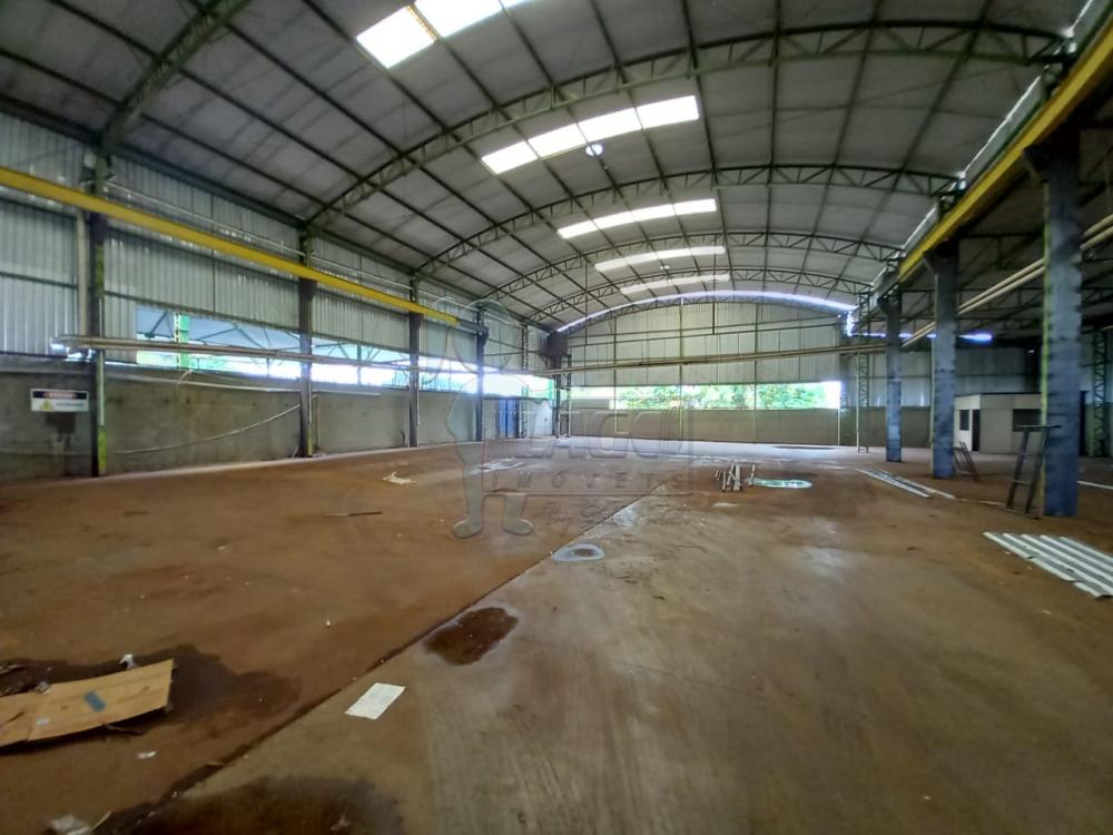 Alugar Comercial / Salão/Galpão/Armazém em Ribeirão Preto R$ 35.000,00 - Foto 6