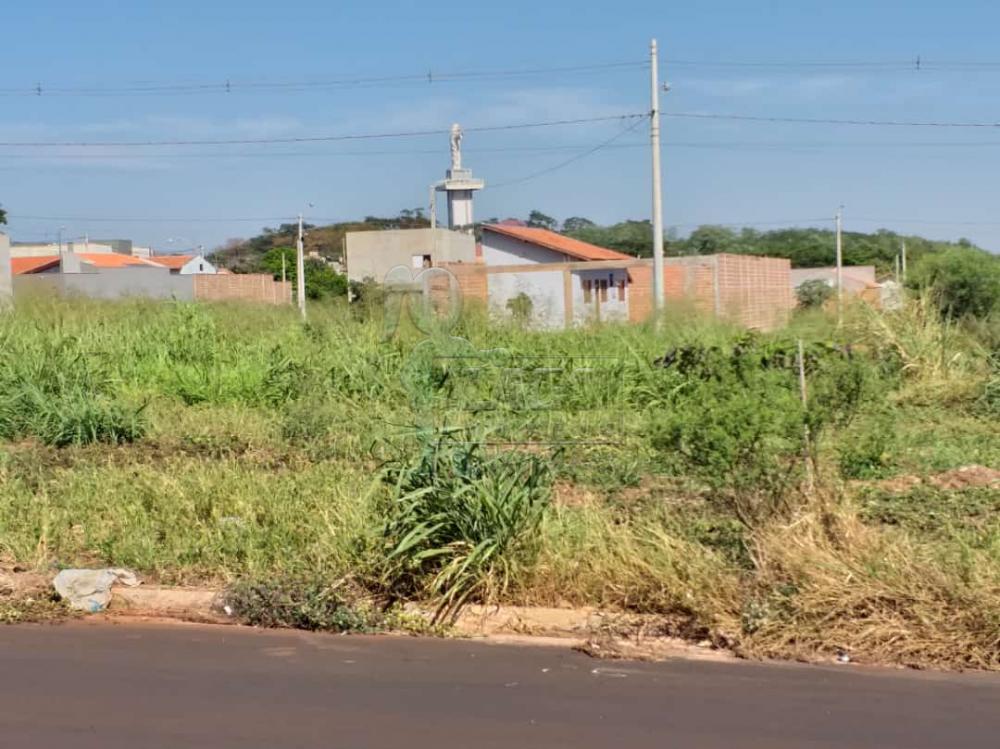 Comprar Terrenos / Padrão em Sertãozinho R$ 115.000,00 - Foto 2