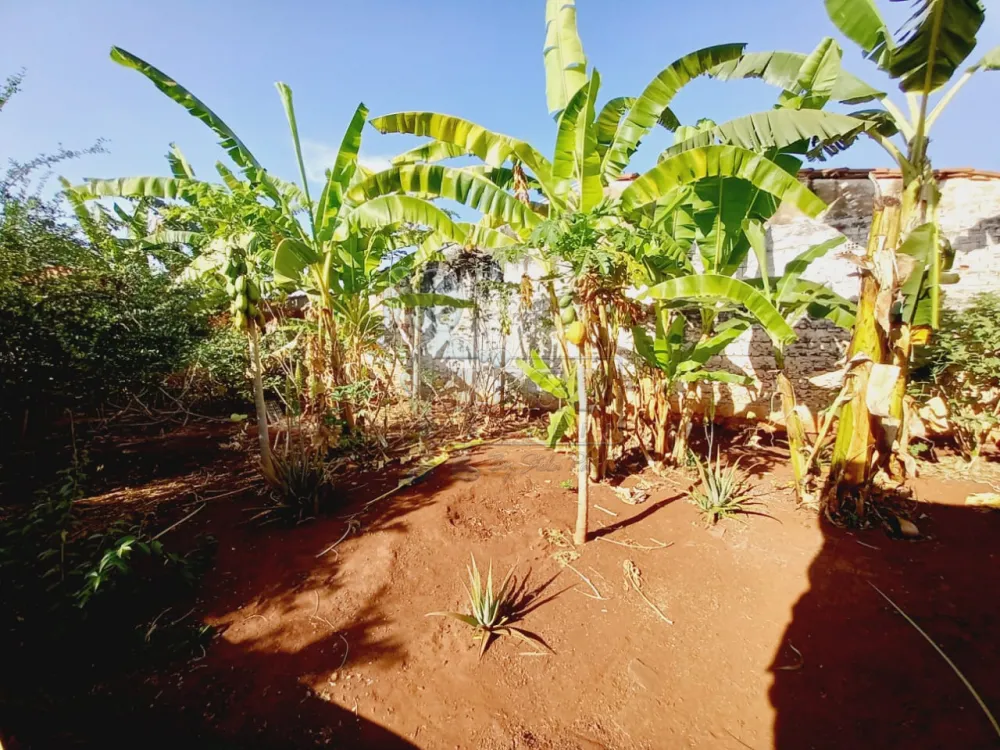 Alugar Casas / Padrão em Ribeirão Preto R$ 800,00 - Foto 37