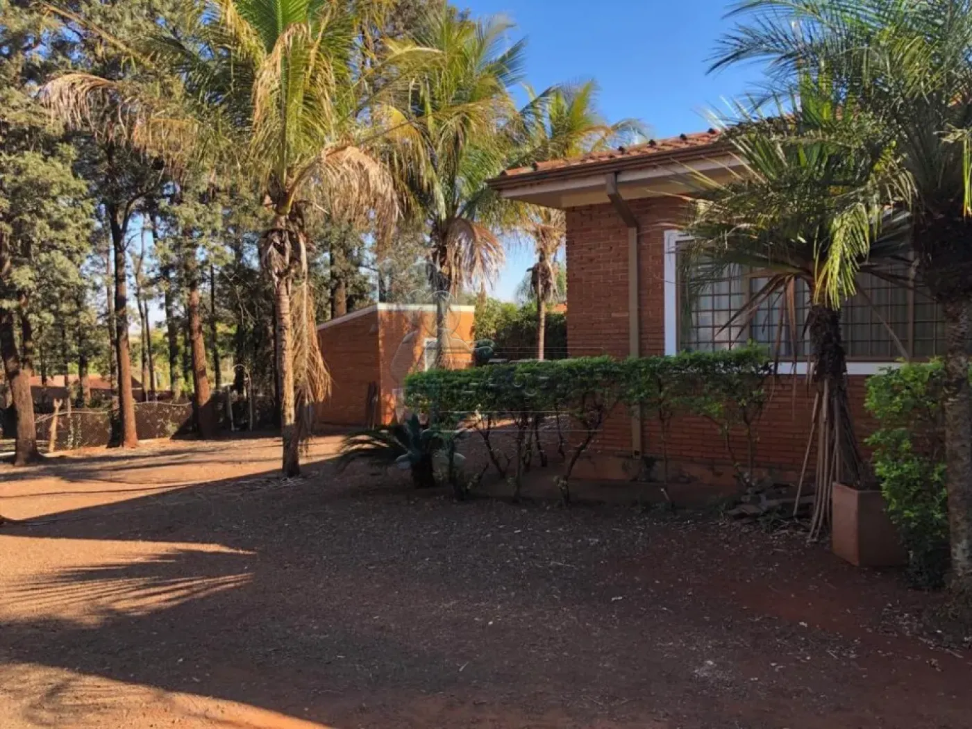 Comprar Casas / Chácara/Rancho em Sertãozinho R$ 2.500.000,00 - Foto 44