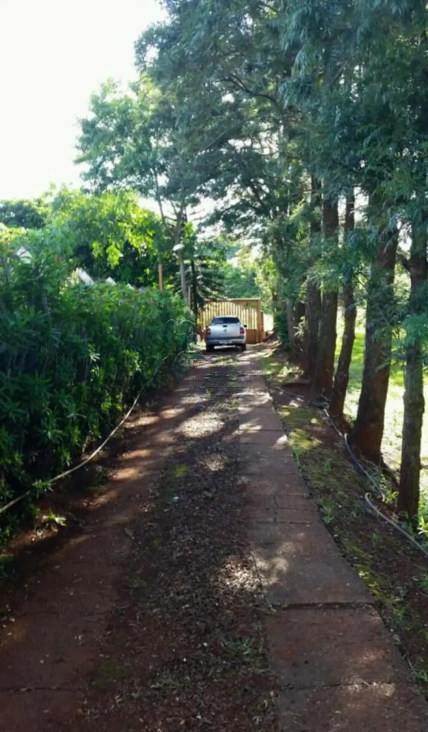 Comprar Casas / Chácara/Rancho em Sertãozinho R$ 2.500.000,00 - Foto 45