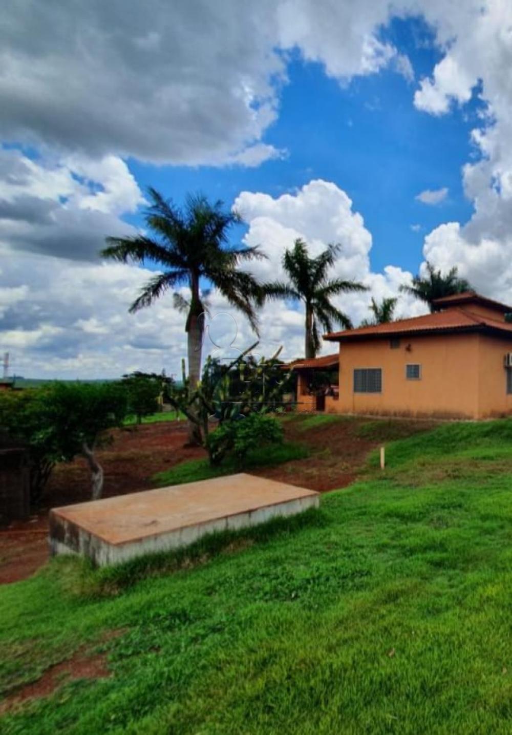 Comprar Casas / Chácara/Rancho em Ribeirão Preto R$ 1.400.000,00 - Foto 5