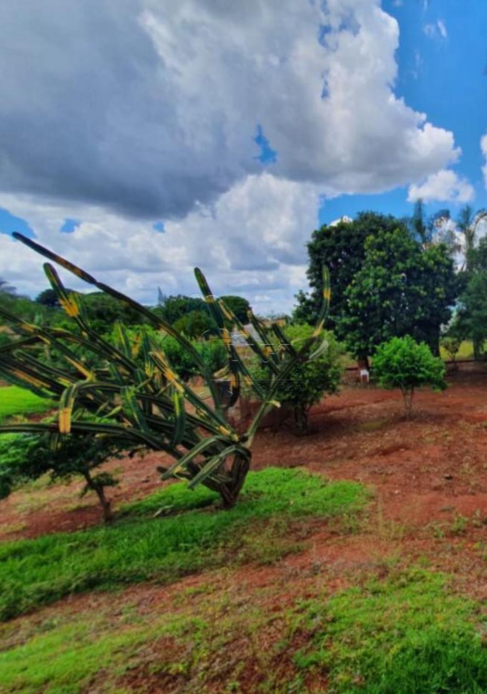 Comprar Casas / Chácara/Rancho em Ribeirão Preto R$ 1.400.000,00 - Foto 8