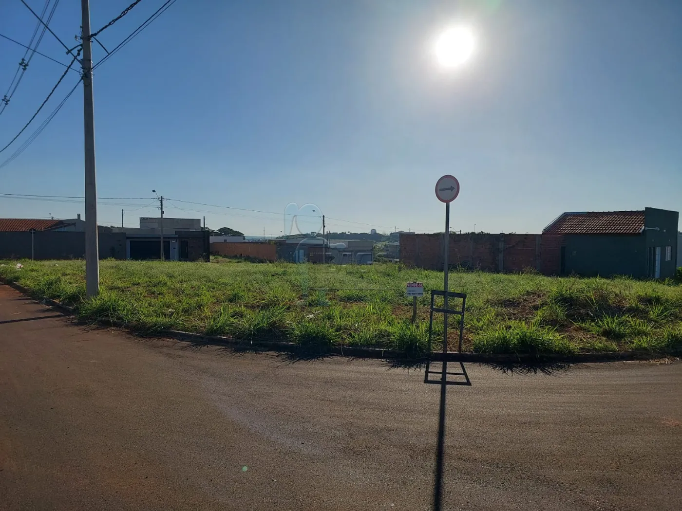 Alugar Terrenos / Padrão em Sertãozinho R$ 1.400,00 - Foto 3