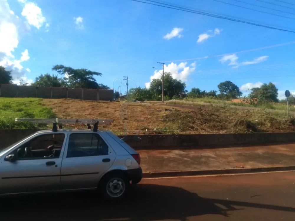 Comprar Terrenos / Padrão em Ribeirão Preto R$ 210.000,00 - Foto 6