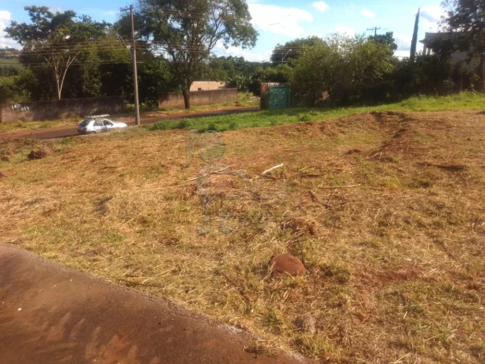 Comprar Terrenos / Padrão em Ribeirão Preto R$ 210.000,00 - Foto 7