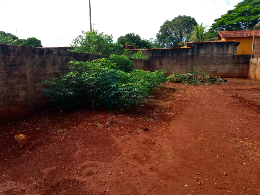 Alugar Casas / Chácara/Rancho em Ribeirão Preto R$ 4.200,00 - Foto 19