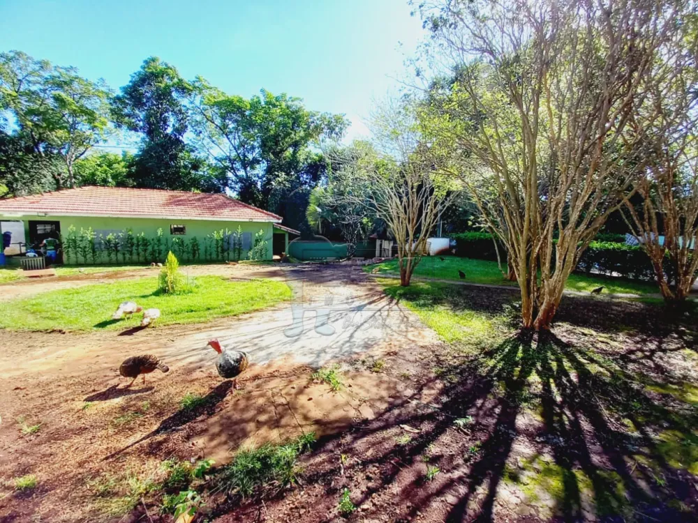 Comprar Casas / Chácara/Rancho em Ribeirão Preto - Foto 44