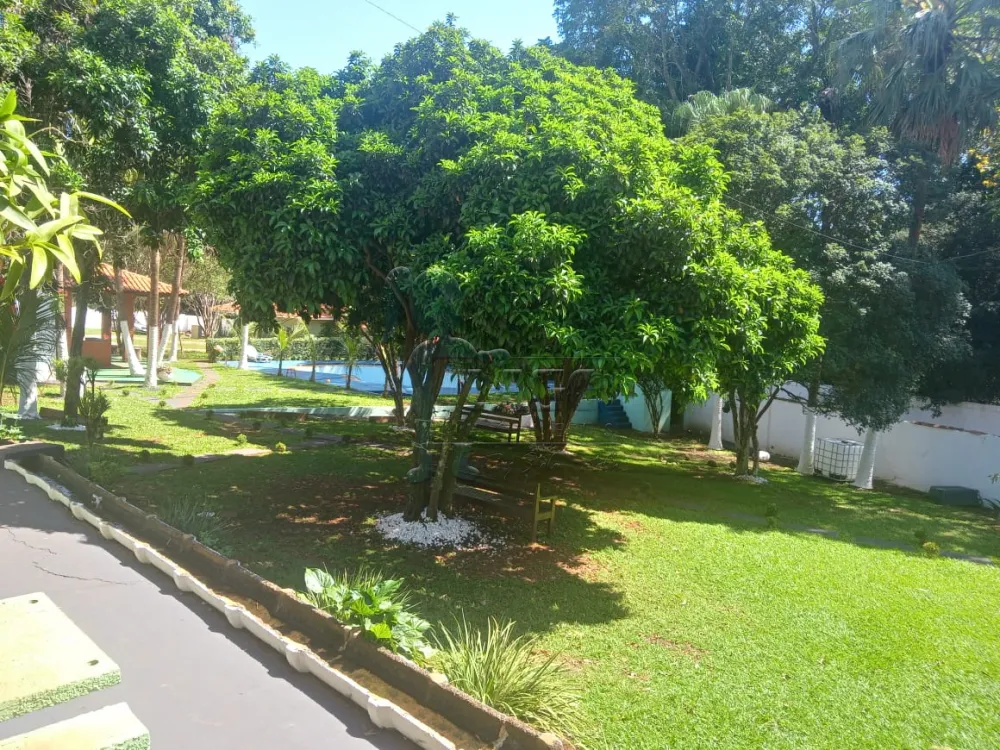 Comprar Casas / Chácara/Rancho em Ribeirão Preto - Foto 61