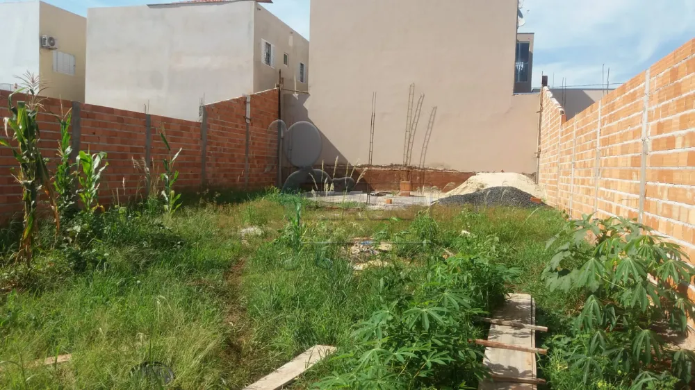 Comprar Terrenos / Padrão em Barrinha R$ 122.000,00 - Foto 1