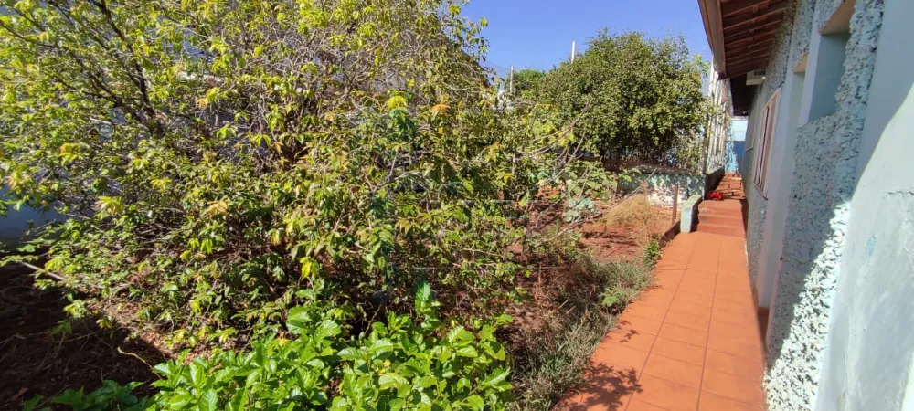 Alugar Casas / Padrão em Ribeirão Preto R$ 5.500,00 - Foto 9