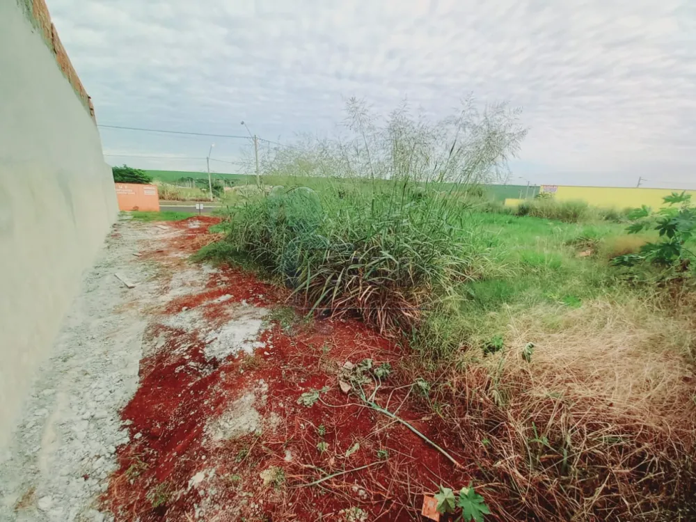 Comprar Terrenos / Padrão em Ribeirão Preto R$ 159.000,00 - Foto 2